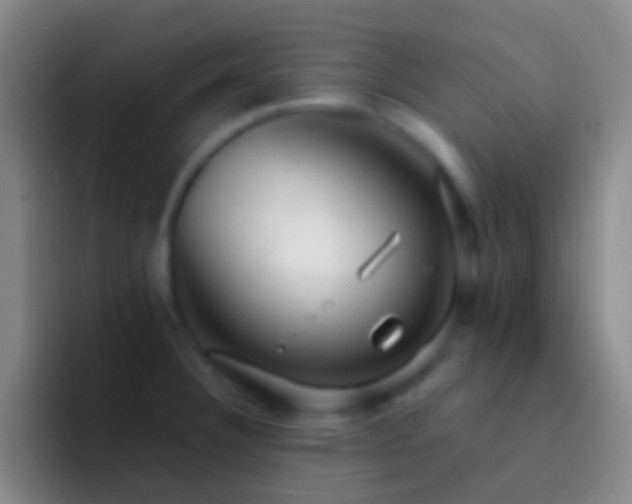 X0000092311332200709211242