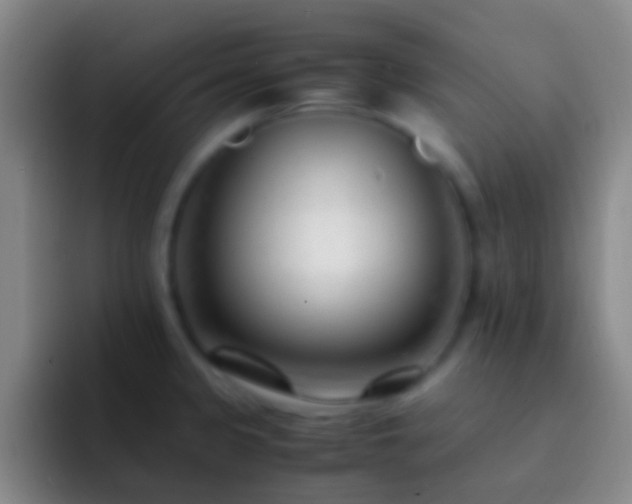X0000092311333200709211242