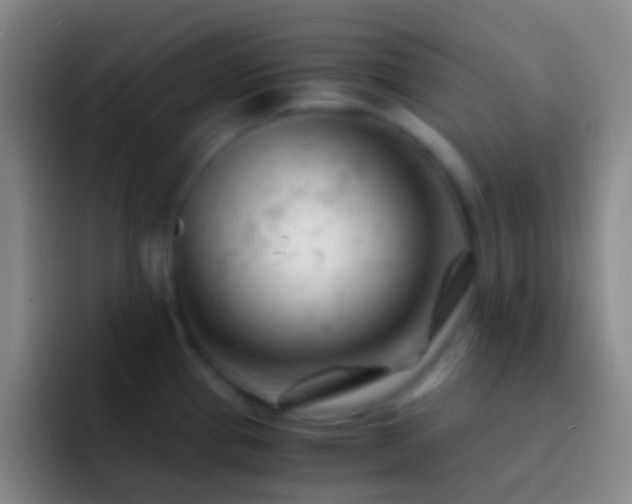 X0000092311337200709211242
