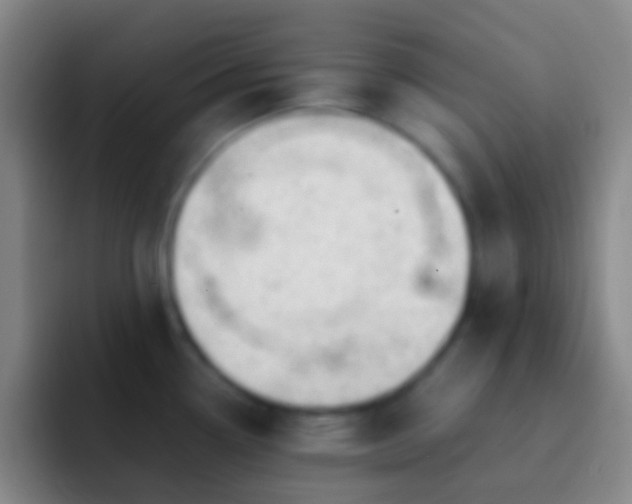 X0000092311338200709211242