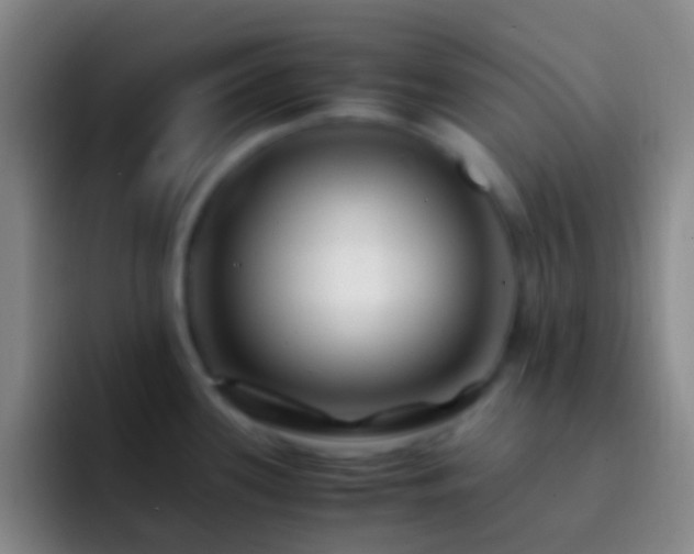 X0000092311339200709211242