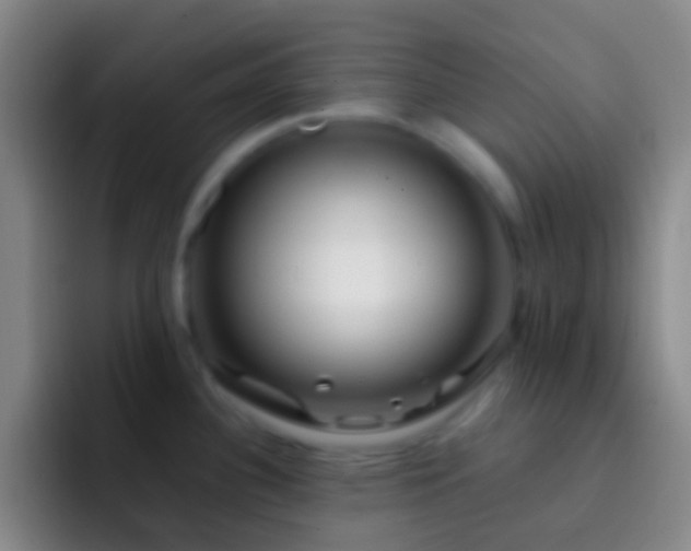X0000092311340200709211242