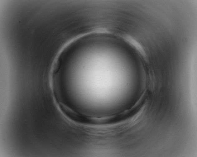 X0000092311342200709211242