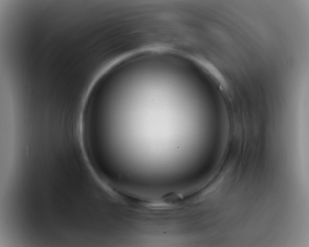 X0000092311343200709211242