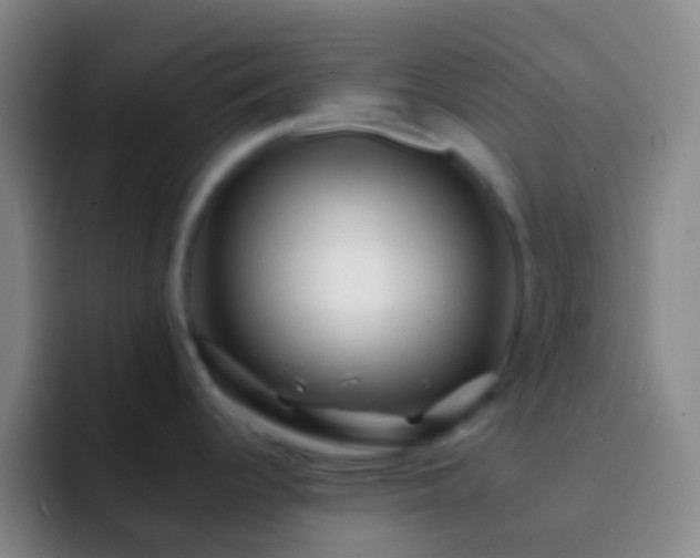 X0000092311344200709211242