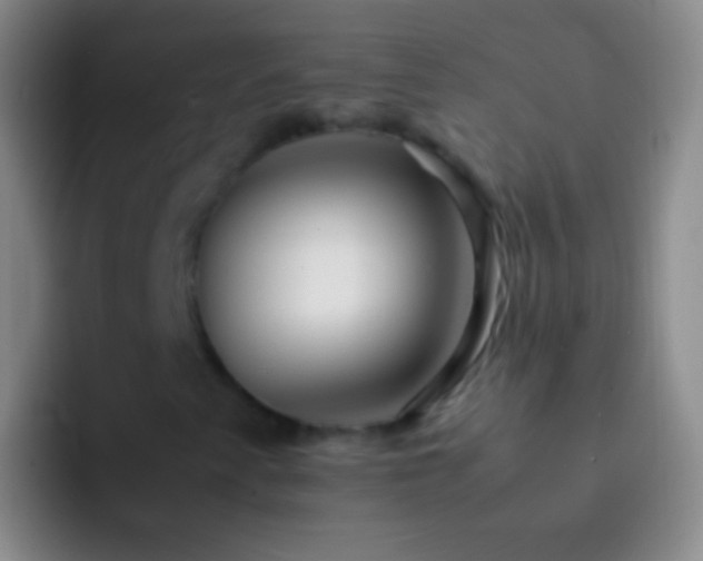 X0000092311345200709211242