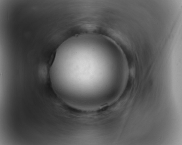 X0000092311347200709211242