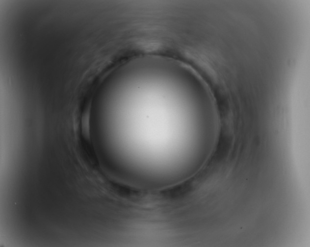 X0000092311349200709211242