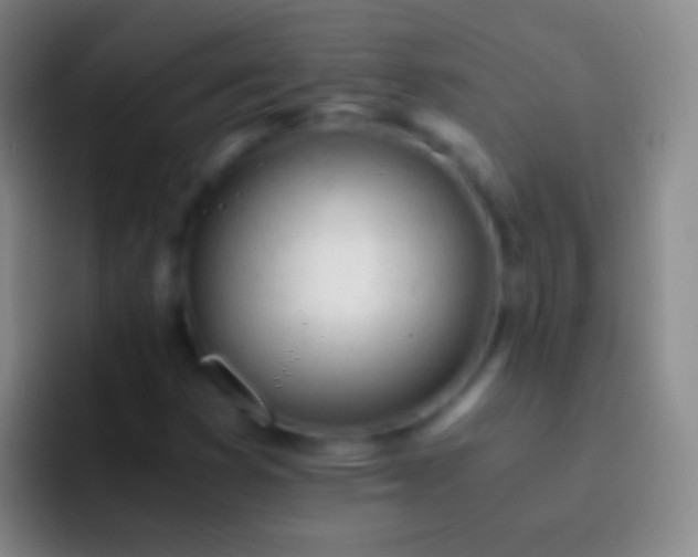 X0000092311353200709211242