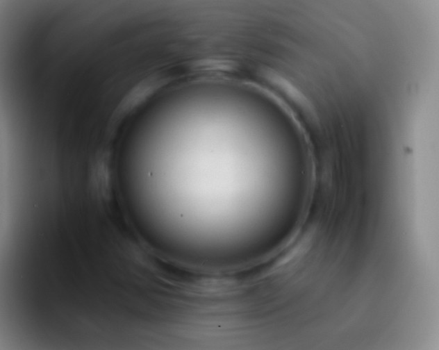 X0000092311354200709211242