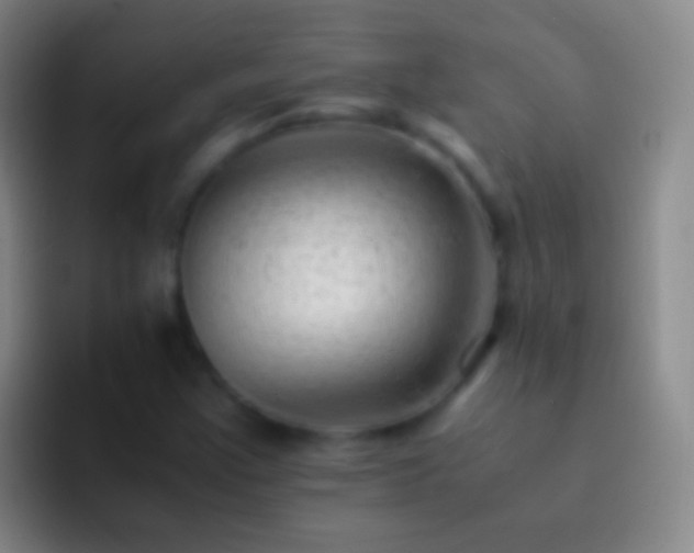 X0000092311355200709211242