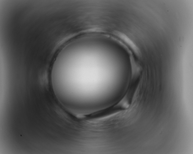 X0000092311356200709211242