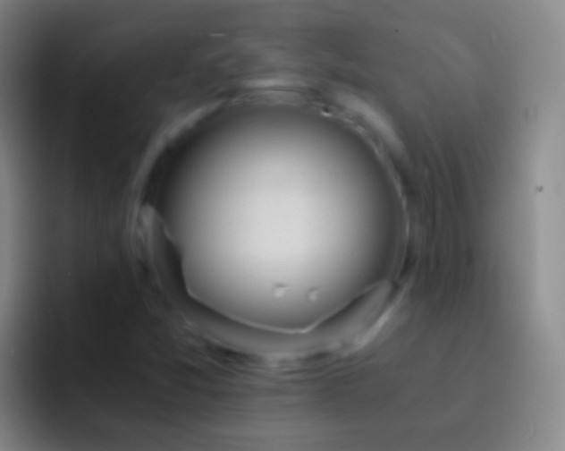 X0000092311357200709211242
