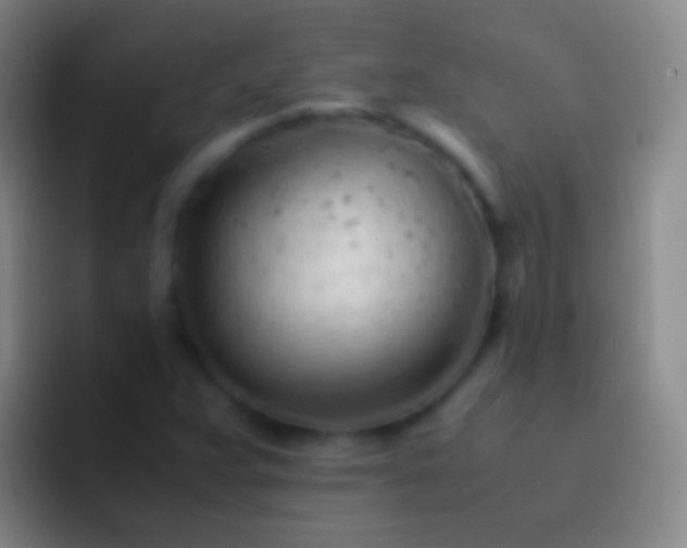 X0000092311359200709211242