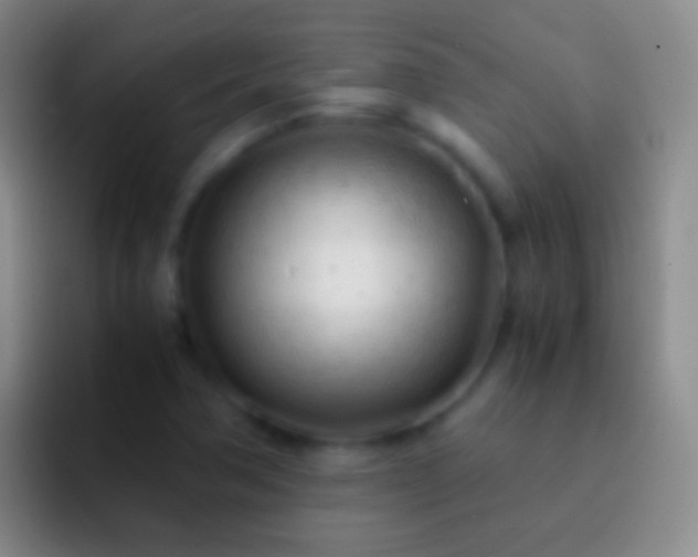 X0000092311362200709211242