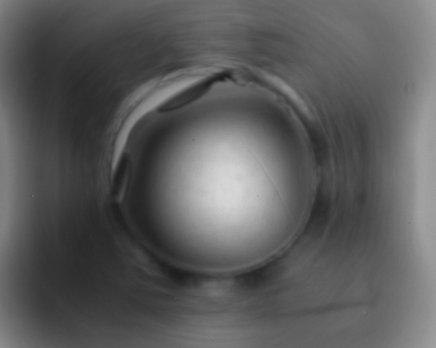 X0000092311363200709211242