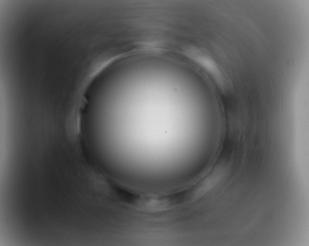 X0000092311365200709211242