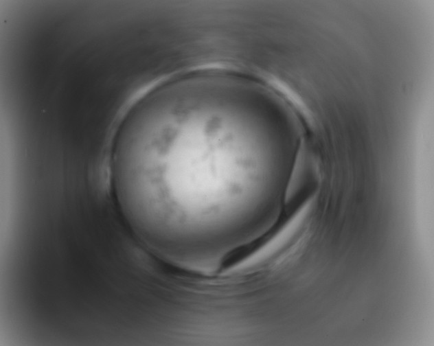 X0000092311367200709211242