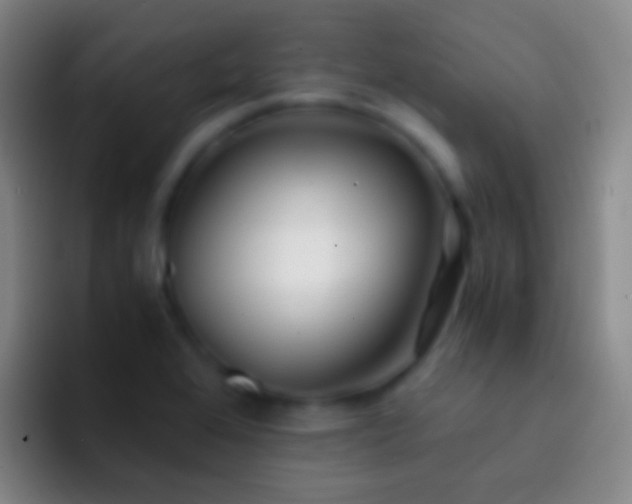 X0000092311368200709211241