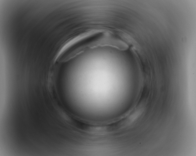X0000092311369200709211241