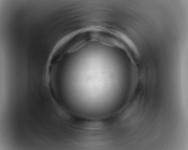 X0000092311372200709211241