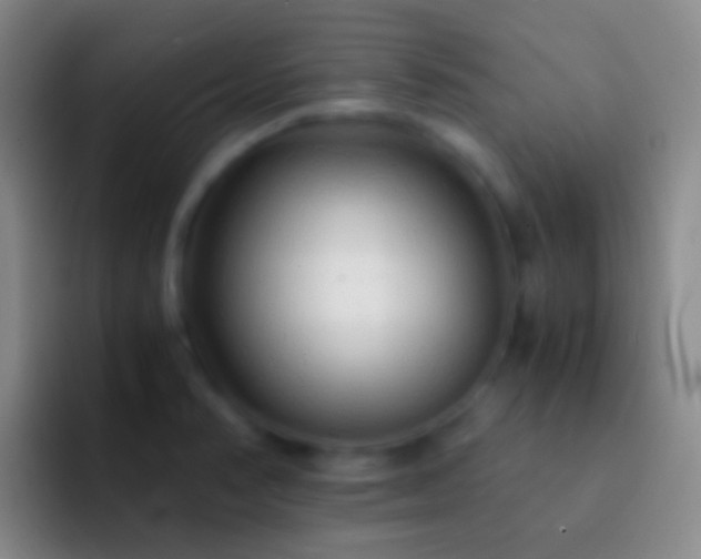 X0000092311374200709211241