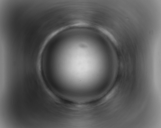 X0000092311375200709211241