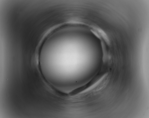 X0000092311376200709211241