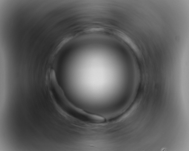 X0000092311377200709211241