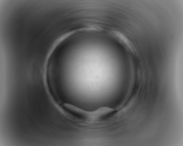X0000092311379200709211241
