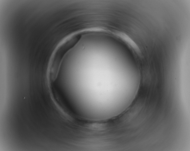 X0000092311380200709211241