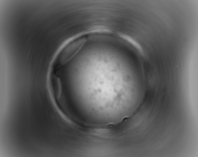 X0000092311383200709211241