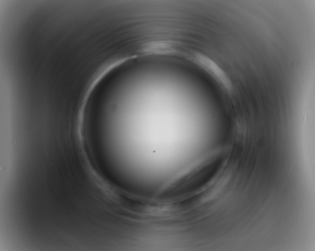 X0000092311386200709211241