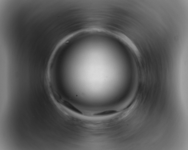 X0000092311388200709211241