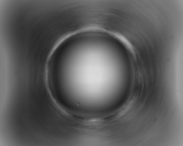 X0000092311390200709211241
