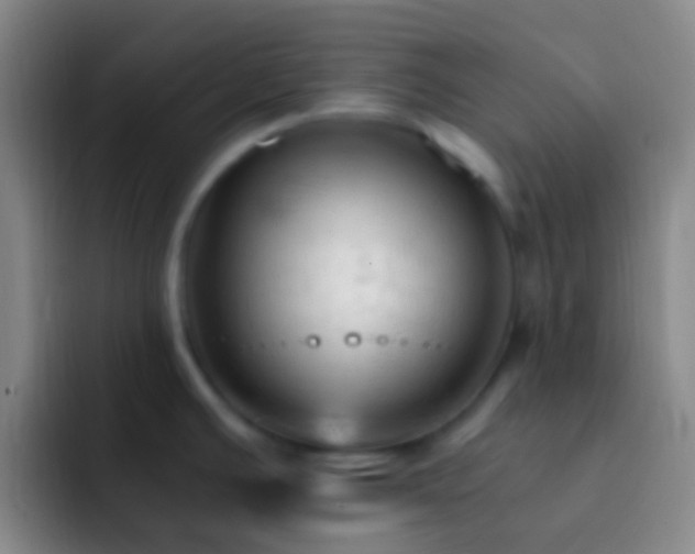 X0000092311391200709211241