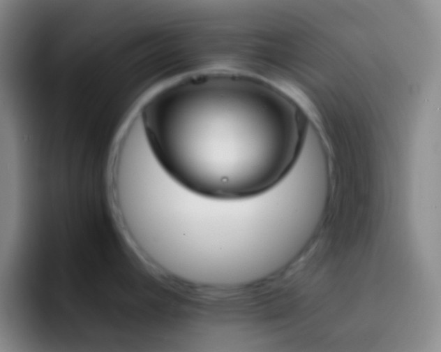 X0000092311392200709211241