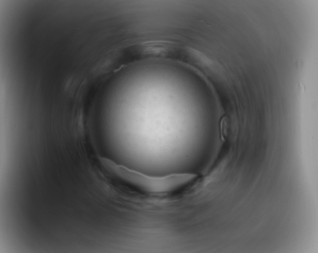 X0000092311394200709211241