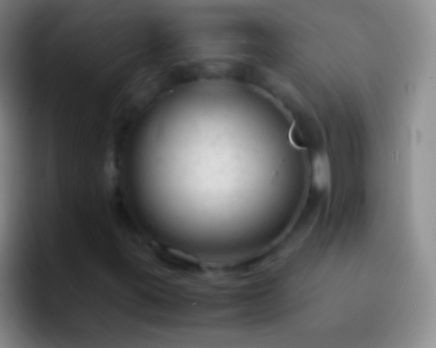 X0000092311395200709211241
