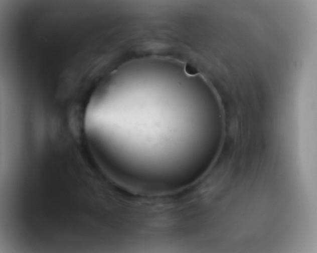 X0000092311397200709211241