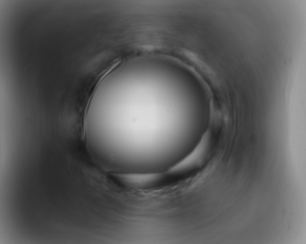 X0000092311398200709211241