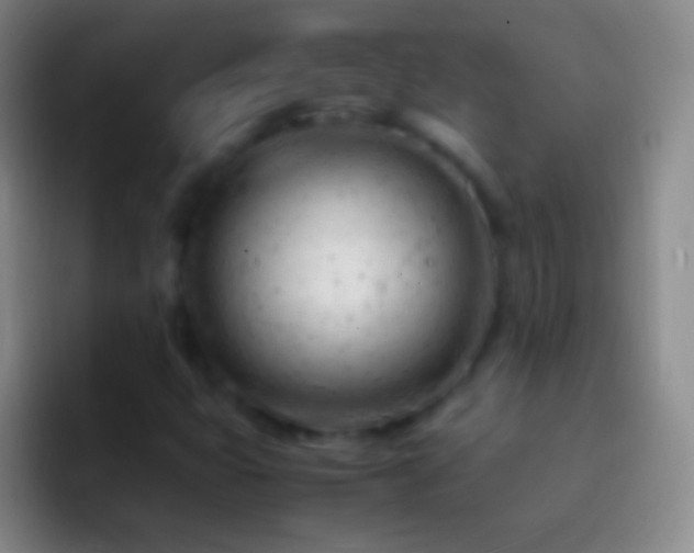 X0000092311399200709211241