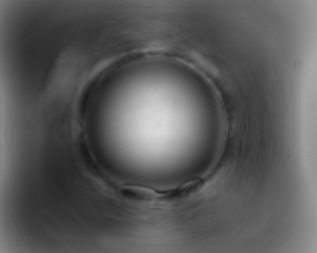X0000092311400200709211241