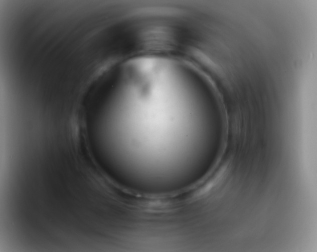 X0000092311401200709211241