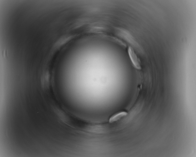 X0000092311402200709211241
