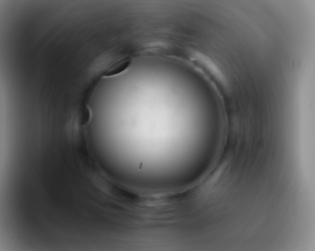 X0000092311403200709211241