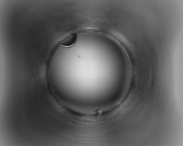 X0000092311404200709211241