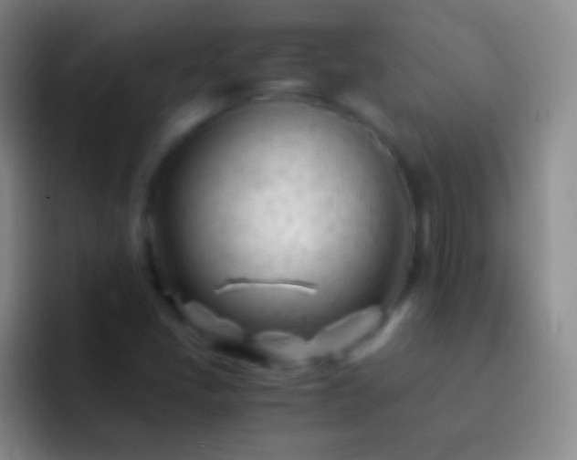 X0000092311405200709211241