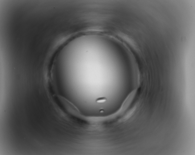 X0000092311406200709211241