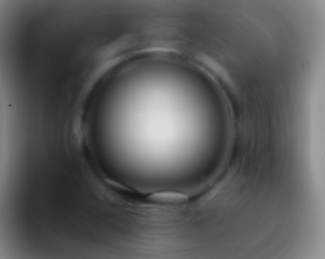 X0000092311408200709211241